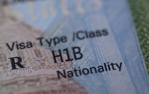 Domestic Visa Processing – Application Slots Now Available
