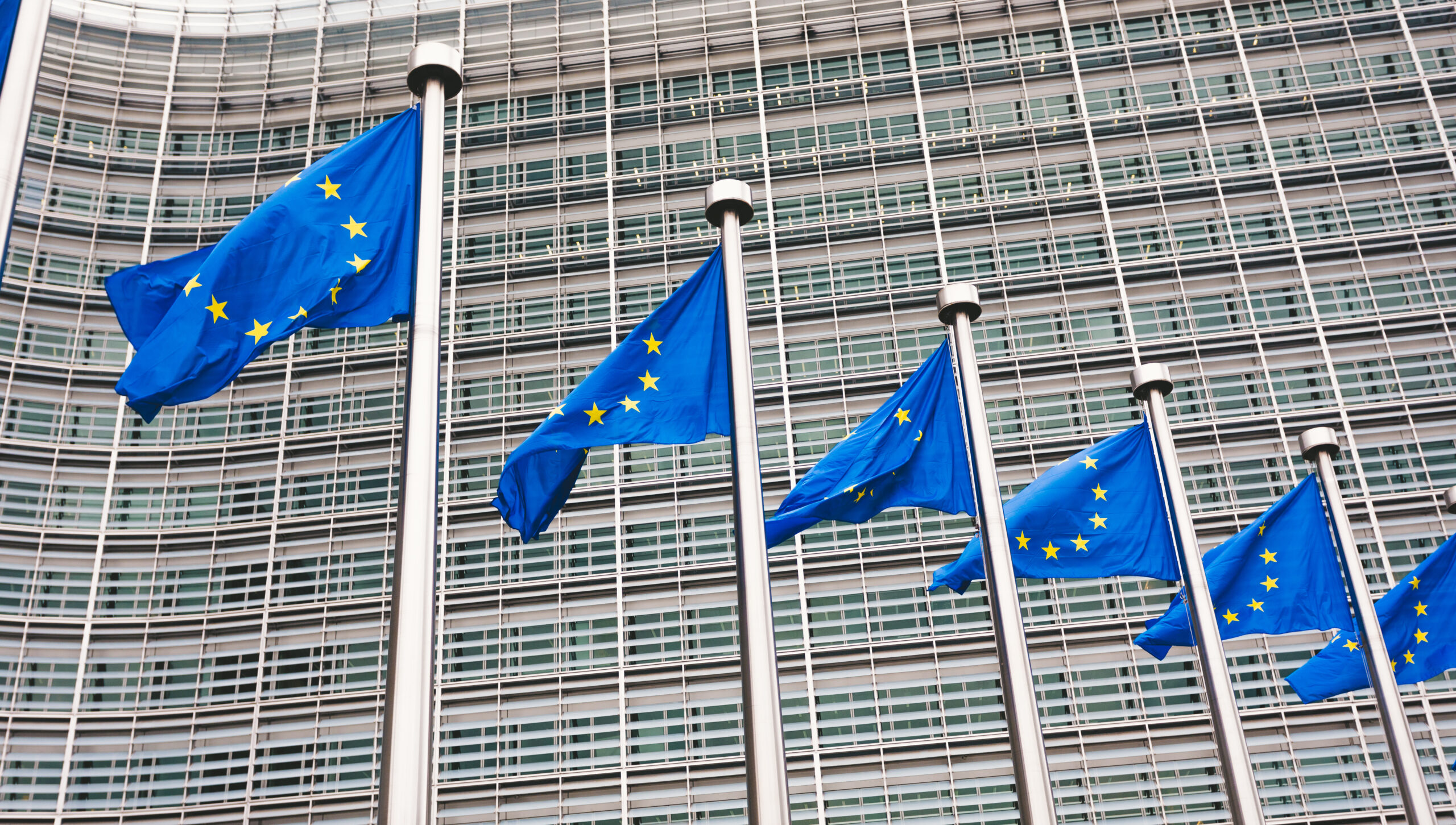 Emerging EU ESG Requirements: Transatlantic Implications for Multinational Companies