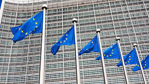 Emerging EU ESG Requirements: Transatlantic Implications for Multinational Companies